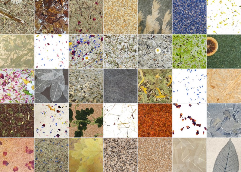 media/image/organoid_weitere_designsTyRUHfjCB91lw.jpg